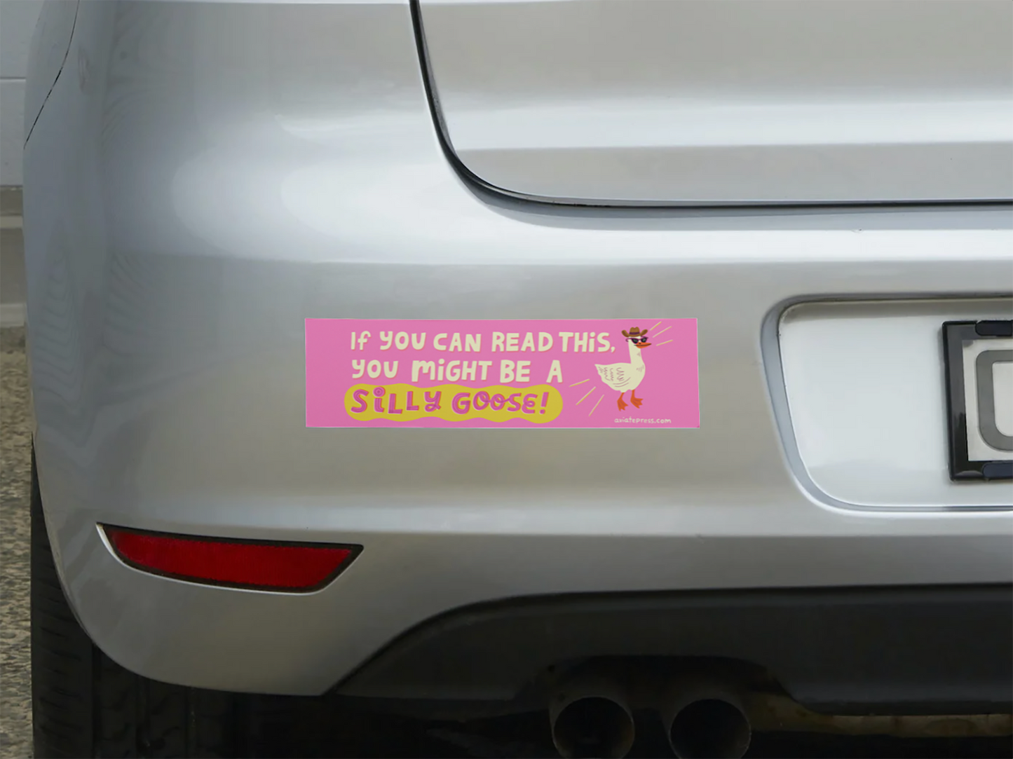 Silly Goose Bumper Sticker